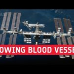 Growing blood vessels. We research. You benefit.