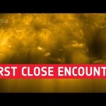 Can you spot the solar hedgehog? 🦔 #shorts