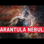 The James Webb Space Telescope captures the Tarantula Nebula #shorts