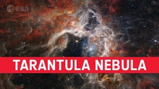 The James Webb Space Telescope captures the Tarantula Nebula #shorts