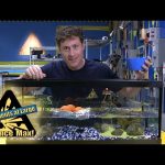 Science Max | How to Make a Tinfoil Boat