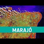 Marajó, Brazil | Earth from Space #shorts