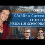 Ce ne spune pisica lui Schrödinger despre fizica cuantică?