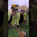 Pumpkin Catapult! ๐ Science Max