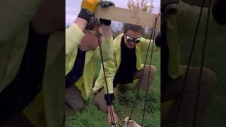 Pumpkin Catapult! 🎃 Science Max