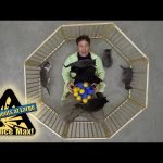 Explaining the Atom with Kittens 🐱⚛️ Science Max