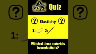 Science Max Quiz ❓ Elasticity | Science Max