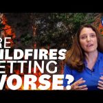 Are Wildfires Getting Worse? – We Asked a NASA Scientist