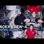 NASA’s SpaceX Crew-4: A Scientific Journey