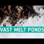 Melt ponds in West Greenland | Earth from Space