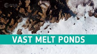 Melt ponds in West Greenland | Earth from Space