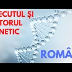 Omul major, ep. 8 – Trecutul și viitorul genetic al românilor