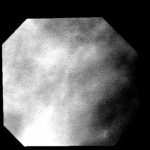 Venus Express and transit of Venus