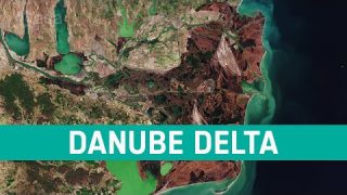 Earth from Space: Danube Delta