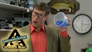 States of Matter | Sal’s Science Shop | Science Max