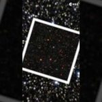 Zooming Into II ZW 96 🔍 #shorts