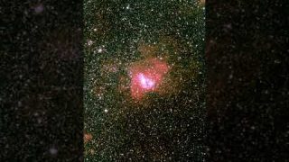Zooming Into NGC 346 🔍 #shorts
