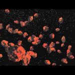 Happy Holidays, NASA TV Style!