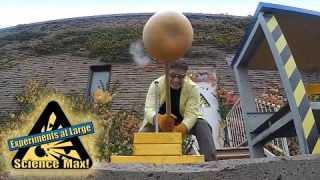 Using a Pumpkin as a Sledgehammer | Mini Max | Science Max