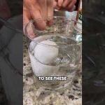 How to Make a Naked Egg