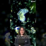 How do you imagine life around Jupiter? 🧐 #shorts