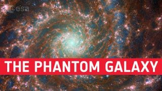 Webb and Hubble inspect the Phantom Galaxy #shorts