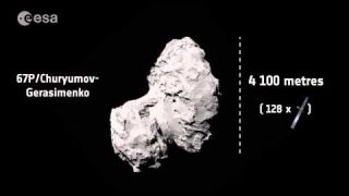 How big is Rosetta compared with the comet?
