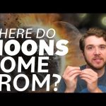Where Do Moons Come From? We Asked a NASA Scientist