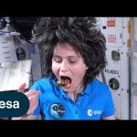 Healthy food in the International Space Station | Minerva Mission