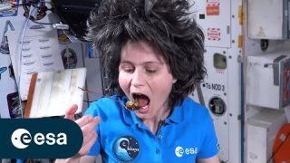 Healthy food in the International Space Station | Minerva Mission