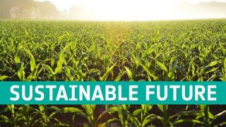 A sustainable future