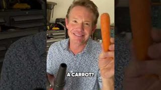 Levitating Garage Carrot