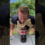 The Mentos Inertia Challenge