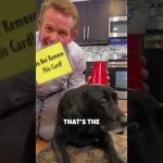 Disappearing Dog Water…