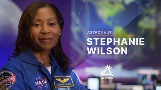 Meet Artemis Team Member Stephanie Wilson