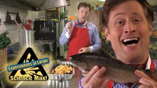 Best Of Cooking With Science | Season 2 | Science Max