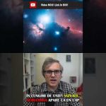 Nebuloasa Cap de CAL.