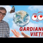 Ozonul, gardianul vieții pe Pământ și pericolul prin care am trecut!