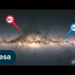 Gaia discovers a unique black hole