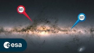 Gaia discovers a unique black hole