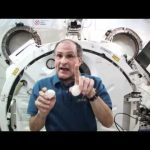 Angry Birds & Pigs Go Weightless!!!