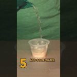 How to make a terrifying frothing at the mouth pumpkin- Go to stevespangler.com/halloween for more!