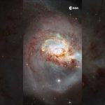 Zoom into NGC 3256 🔍 #shorts