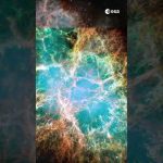 Hubble and Webb’s views of the Crab Nebula 🤩 #shorts