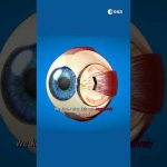 How does space travel affect your eyes? 👀  #shorts