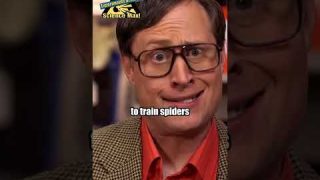 Spiders and cobwebs 🕷️🕸️ | Sal’s Science Shop | Science Max #sciencemax #spider #funny  #sciencefun