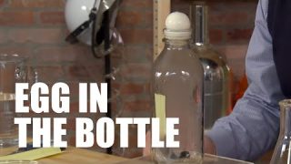 Egg in the Bottle