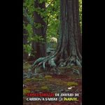 Concentrația de CO2.