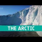 The Arctic: a delicate icy ecosystem