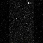 Zoom: Seeing Triple ✨ #shorts